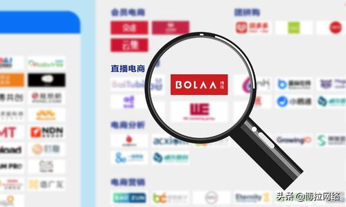 博拉網(wǎng)絡(luò) 以多項(xiàng)數(shù)字化服務(wù)領(lǐng)先優(yōu)勢(shì)，榮登中國(guó)數(shù)字營(yíng)銷(xiāo)生態(tài)圖